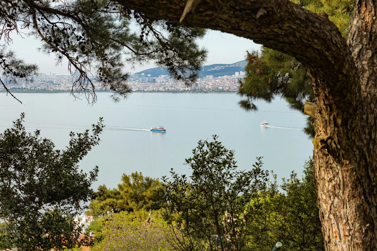 Anadolu bahar piknik alanları ve en iyi rotalar 2026 Anadolu bahar piknik alanları ve en iyi rotalar 2026