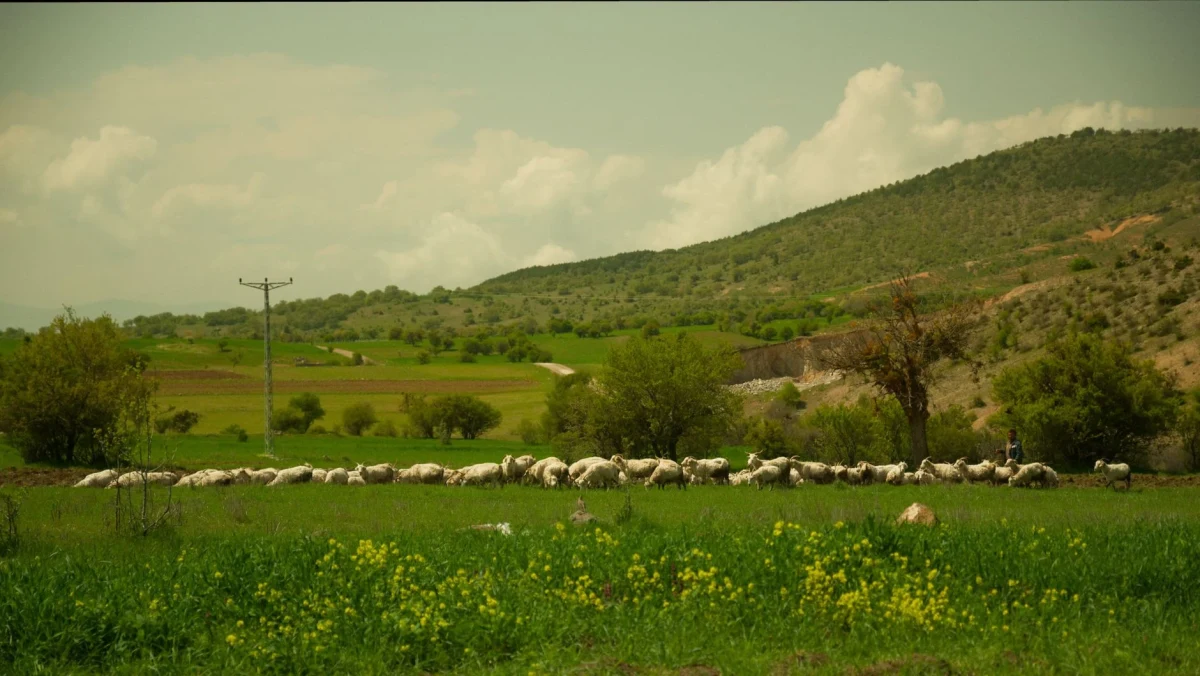Anadolu'da Mayıs Ayında Doğa Fotoğrafçılığı İçin Gizli Kalmış Rotalar Anadolu'da Mayıs Ayında Doğa Fotoğrafçılığı İçin Gizli Kalmış Rotalar