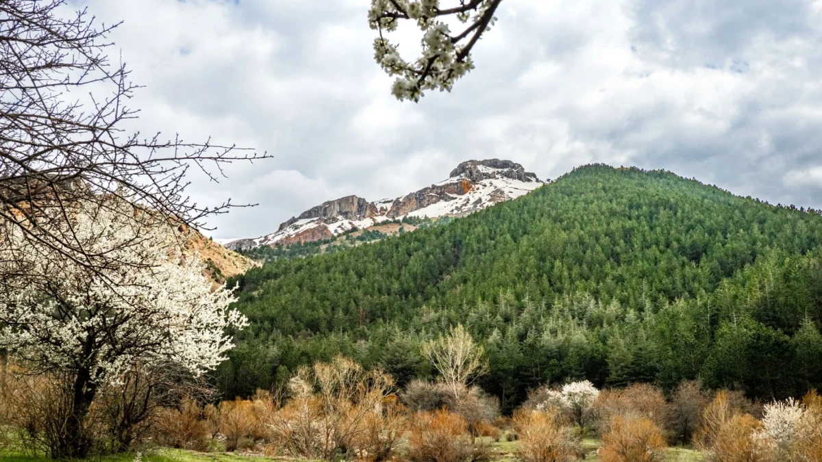 Çankırı Doğal Güzellikler Fotoğraf Çekim İçin En Uygun Zamanlar ve Hazırlıklar Çankırı Doğal Güzellikler Fotoğraf Çekim İçin En Uygun Zamanlar ve Hazırlıklar