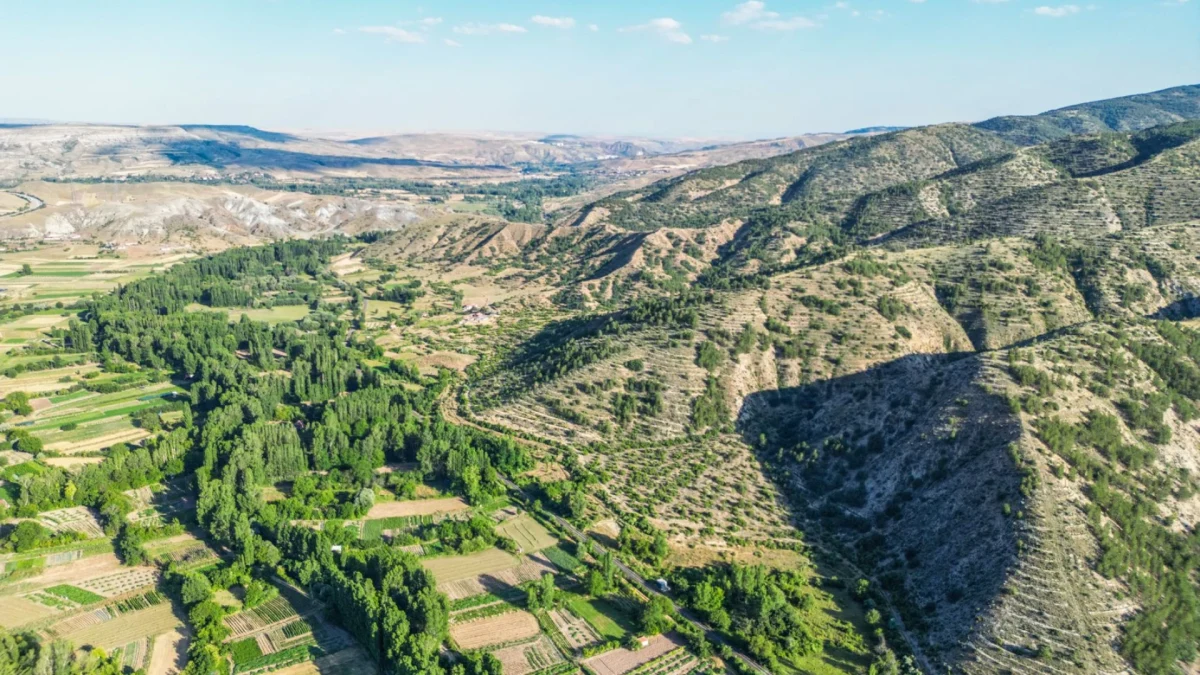 Çankırı Doğal Parklar ve Piknik Alanlarında Sürdürülebilirlik Nasıl Sağlanır? Çankırı Doğal Parklar ve Piknik Alanlarında Sürdürülebilirlik Nasıl Sağlanır?