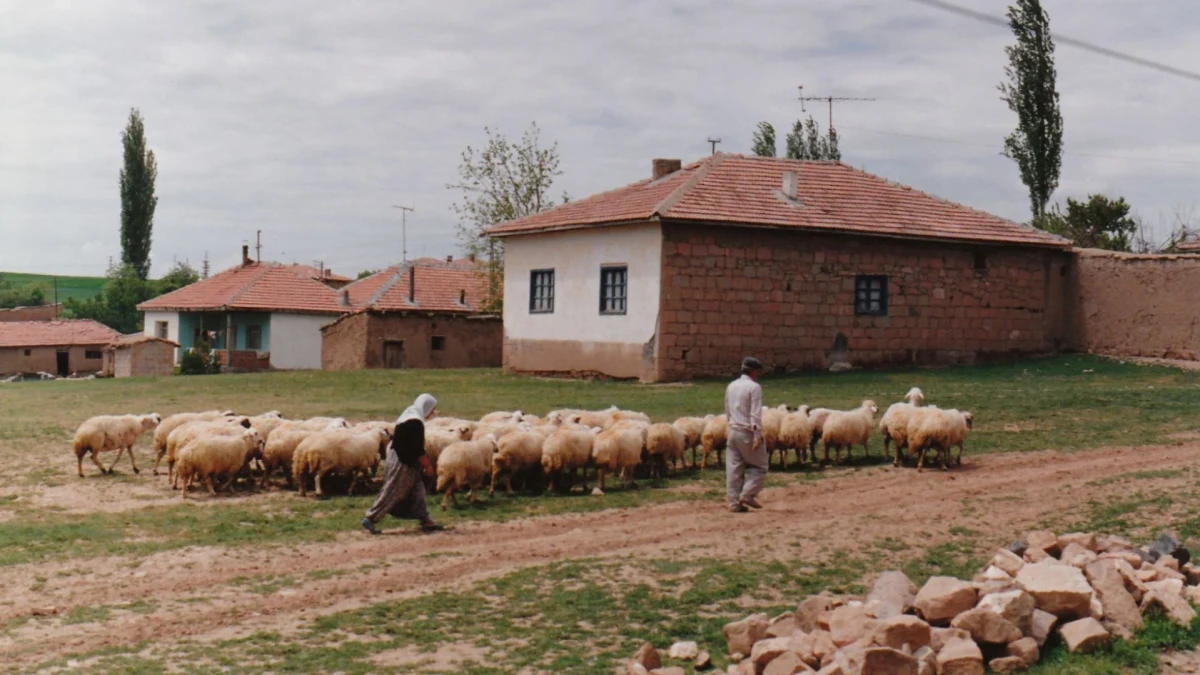 Hafta Sonu Köy Gezisinde Ulaşım ve Zaman Dengesini Kurmak Hafta Sonu Köy Gezisinde Ulaşım ve Zaman Dengesini Kurmak