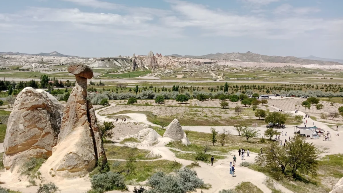 Küçük Gruplarla Anadolu’da Sıradışı Bahar Deneyimleri Nasıl Planlanır? Küçük Gruplarla Anadolu’da Sıradışı Bahar Deneyimleri Nasıl Planlanır?